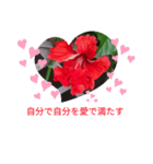 ハイビスカス自己愛スタンプ（個別スタンプ：5）