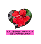ハイビスカス自己愛スタンプ（個別スタンプ：6）