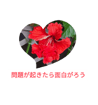 ハイビスカス自己愛スタンプ（個別スタンプ：7）