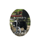 かいとりん3（個別スタンプ：10）