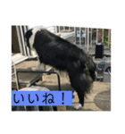 かいとりん3（個別スタンプ：15）