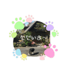 かいとりん3（個別スタンプ：25）