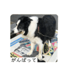 かいとりん3（個別スタンプ：34）