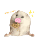 もぐちゃんだぞぉ〜（個別スタンプ：1）
