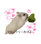 もぐちゃんだぞぉ〜（個別スタンプ：5）