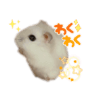もぐちゃんだぞぉ〜（個別スタンプ：6）