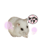 もぐちゃんだぞぉ〜（個別スタンプ：7）