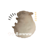 もぐちゃんだぞぉ〜（個別スタンプ：8）