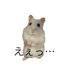 もぐちゃんだぞぉ〜（個別スタンプ：11）