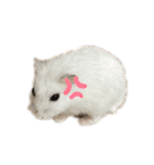 もぐちゃんだぞぉ〜（個別スタンプ：21）