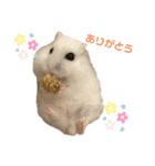 もぐちゃんだぞぉ〜（個別スタンプ：24）