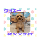 HappyBathPep9月のお友達B（個別スタンプ：1）