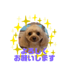 HappyBathPep9月のお友達B（個別スタンプ：4）