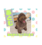 HappyBathPep9月のお友達B（個別スタンプ：5）