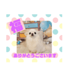 HappyBathPep9月のお友達B（個別スタンプ：9）