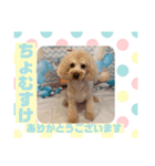 HappyBathPep9月のお友達B（個別スタンプ：13）