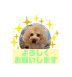 HappyBathPep9月のお友達B（個別スタンプ：16）