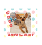 HappyBathPep9月のお友達B（個別スタンプ：17）