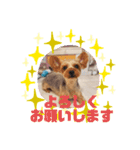 HappyBathPep9月のお友達B（個別スタンプ：20）