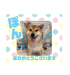HappyBathPep9月のお友達B（個別スタンプ：21）