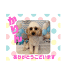 HappyBathPep9月のお友達B（個別スタンプ：25）