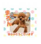 HappyBathPep9月のお友達B（個別スタンプ：33）