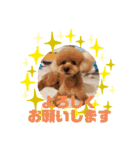 HappyBathPep9月のお友達B（個別スタンプ：36）