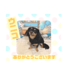 HappyBathPep9月のお友達B（個別スタンプ：37）