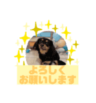 HappyBathPep9月のお友達B（個別スタンプ：40）
