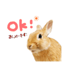 むぎとゆかいな仲間たち！（個別スタンプ：3）