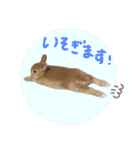 むぎとゆかいな仲間たち！（個別スタンプ：7）