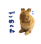 むぎとゆかいな仲間たち！（個別スタンプ：8）