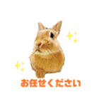 むぎとゆかいな仲間たち！（個別スタンプ：11）