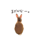 むぎとゆかいな仲間たち！（個別スタンプ：13）