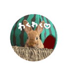 むぎとゆかいな仲間たち！（個別スタンプ：18）