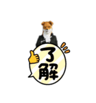 ジョキーンFOX（個別スタンプ：5）
