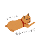 甲斐犬カイの日常スタンプ（個別スタンプ：1）