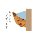 甲斐犬カイの日常スタンプ（個別スタンプ：3）