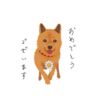 甲斐犬カイの日常スタンプ（個別スタンプ：10）