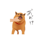 甲斐犬カイの日常スタンプ（個別スタンプ：11）