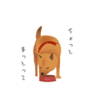 甲斐犬カイの日常スタンプ（個別スタンプ：12）