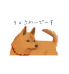 甲斐犬カイの日常スタンプ（個別スタンプ：13）