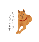 甲斐犬カイの日常スタンプ（個別スタンプ：14）