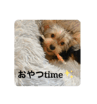 びびじじスタンプ（個別スタンプ：8）