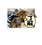 びびじじスタンプ（個別スタンプ：14）