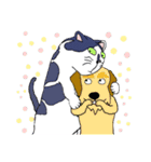 ねこのたまにゃん（個別スタンプ：1）