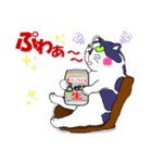 ねこのたまにゃん（個別スタンプ：3）