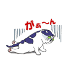 ねこのたまにゃん（個別スタンプ：6）