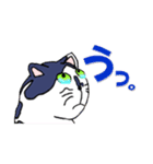 ねこのたまにゃん（個別スタンプ：12）