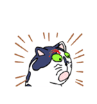 ねこのたまにゃん（個別スタンプ：16）
